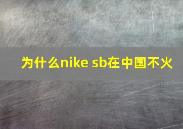 为什么nike sb在中国不火